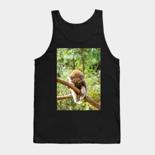 Koala with leg hooked over gum branch. Tank Top